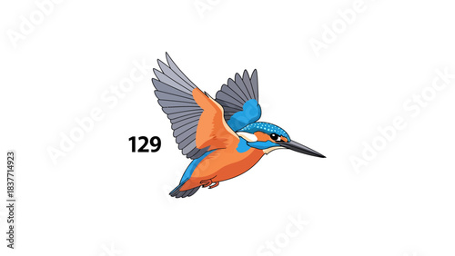 A vibrant kingfisher in flight, showcasing its brilliant blue and orange plumage against a clean white background, captured in a dynamic pose mid-air with wings spread wide