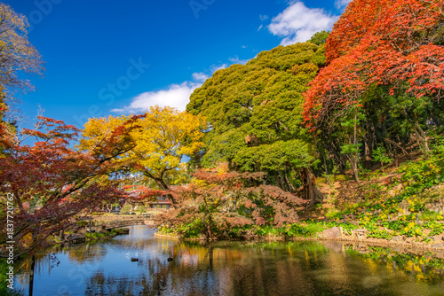 東京都文京区 紅葉の肥後細川庭園