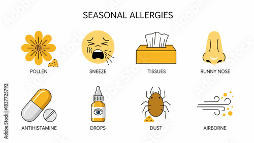 Infographic illustrating seasonal allergy symptoms triggers and treatments with icons