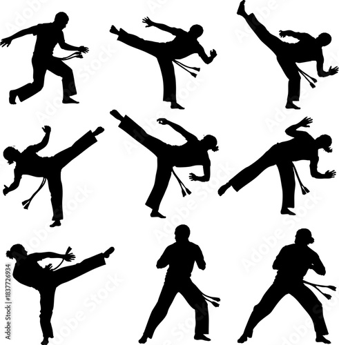 Martial Arts Silhouette Set - Karate and Kung Fu Fighters