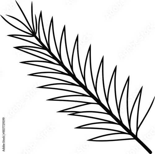 Black line art pine branch with sharp needles on background