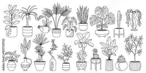 vector black outline Plants in pots set. Clip art isolated on transparent background. Coloring book page
