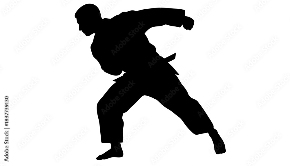 Obraz premium A silhouette of a martial artist in a dynamic pose, showcasing the power and grace of combat sports on a clean white background.