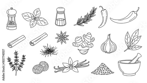 Set of 17 Black Outline Icons: Herbs, Spices, Condiments & Kitchen Tools on White