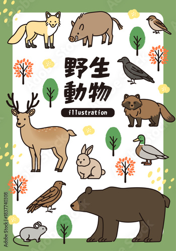 野生動物のカラーイラストセット