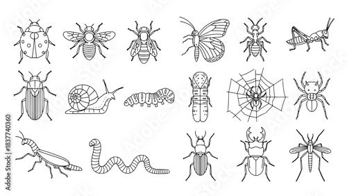 Minimalist black and white illustration showing a guitar neck with a wrench and string roll, representing instrument repair, beside two blank rectangular boxes.