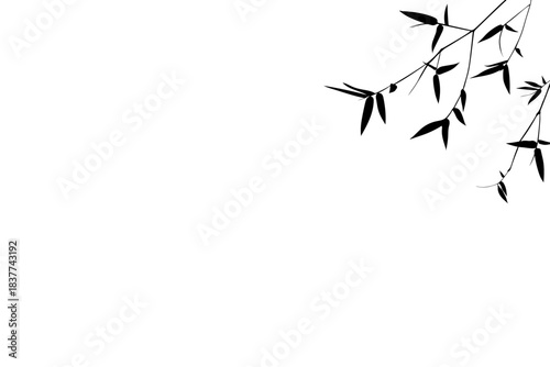 Black silhouette of delicate bamboo branches and leaves, diagonally framing the upper right corner. Asian inspired graphic is ideal for minimalist designs, Zen backgrounds, organic borders, copy space