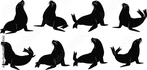 Ocean Animal, Wild Life, and Aquatic Creature Collection in Sitting and Posing Flat Black Line Drawing Illustration.