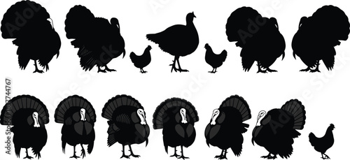 Thanksgiving Holiday Dinner, Poultry, and Farm Bird Collection Flat Black Line Drawing Illustration.