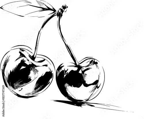 Sweet Temptation Cherry Blossoms - Monochromatic Illustration Two Cherries Simple Black White Style | Clean, isolated vector art for creative projects