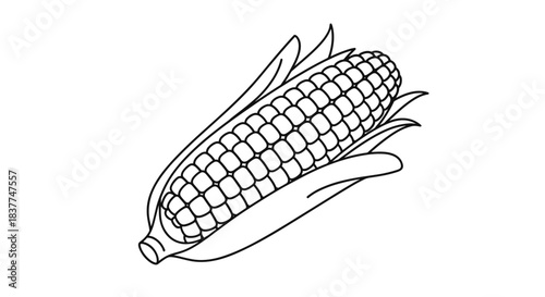 Simple black and white line art illustration of a single ear of corn with its husk partially peeled back to show the kernels.