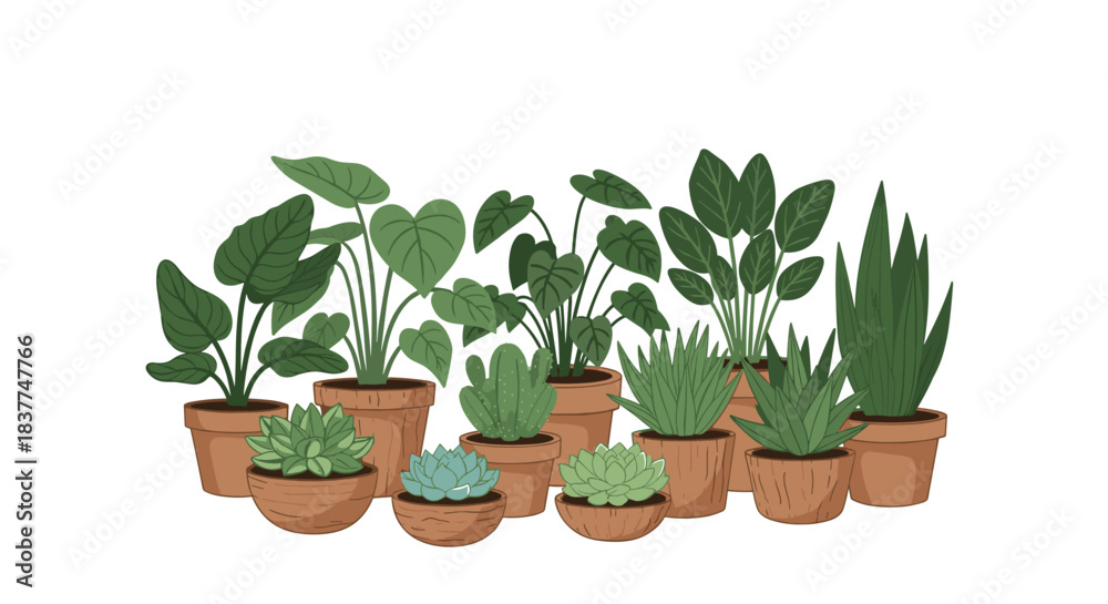 Fototapeta premium Group illustration of various green indoor houseplants in terracotta pots creating a lush and cozy urban jungle composition.