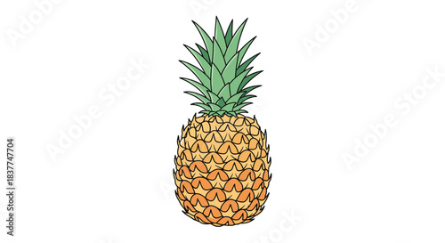Colorful and detailed illustration of a whole ripe pineapple showing its textured skin and green crown on a white background.