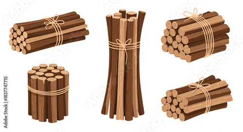Set of five cartoon illustrations of firewood bundles and sticks tied with rope for camping or a rustic fireplace aesthetic.