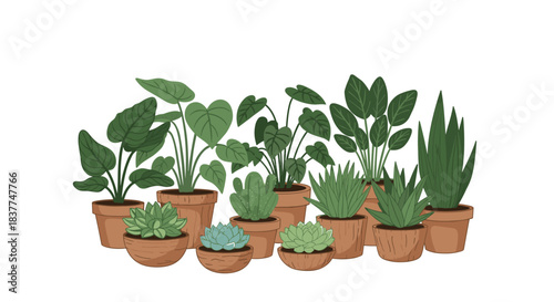 Group illustration of various green indoor houseplants in terracotta pots creating a lush and cozy urban jungle composition.