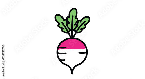 Cute and simple colorful doodle icon of a fresh radish or turnip with green leaves isolated on a clean white background.