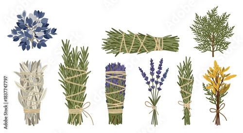 Set of various herbal smudge sticks and bundles including sage rosemary and lavender for aromatherapy and spiritual rituals.