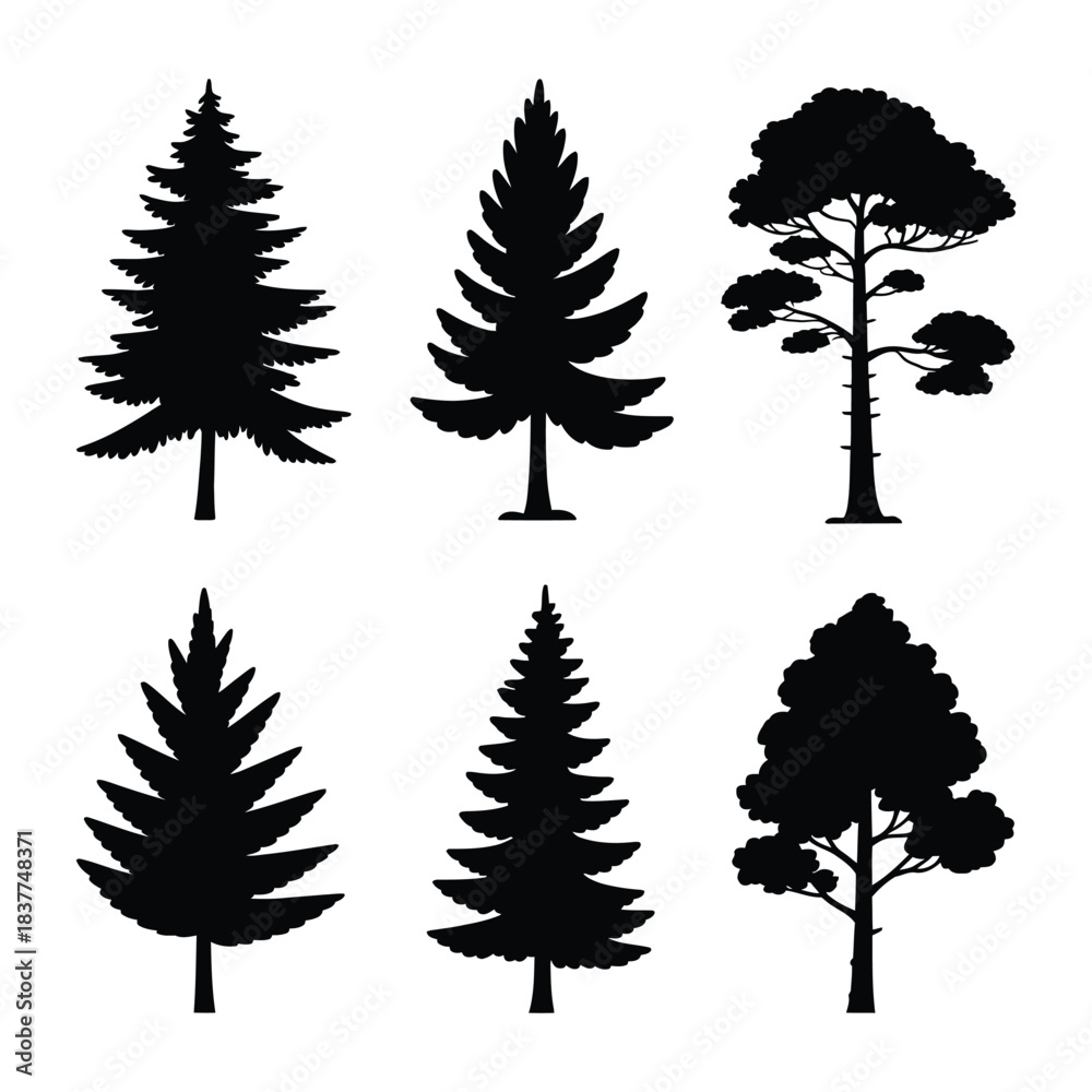 Fototapeta premium Tree Pine Vector, Silhouette, Illustration