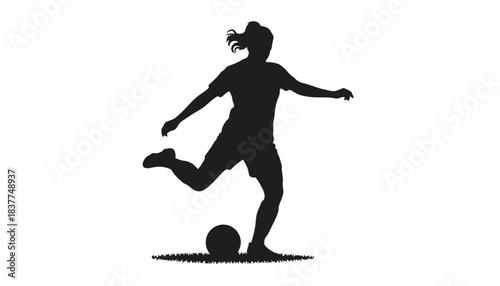 Silhouette of a person kicking a soccer ball on a white background.