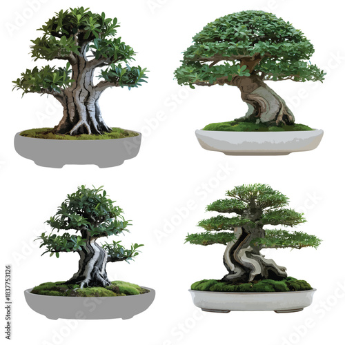 Artistic twisted trunk bonsai tree on mossy base
