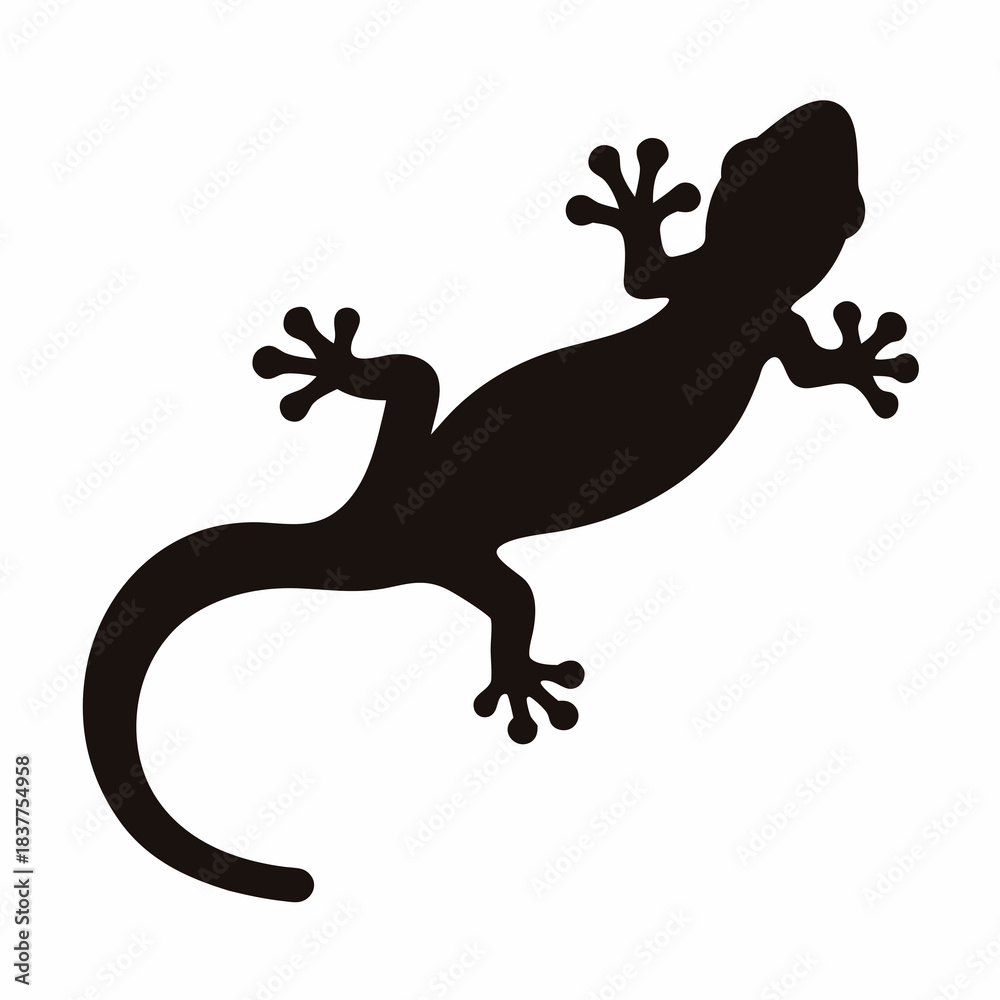 Obraz premium Silhouette of a Gecko, Representing Reptilian Grace and Adaptability in Nature