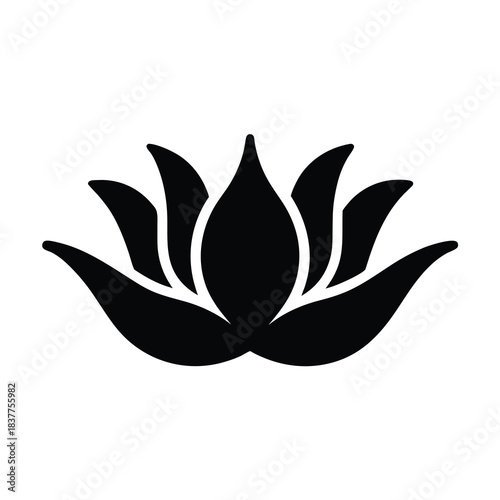 Symmetrical Silhouette of a Lotus Flower in Full Bloom on White Background