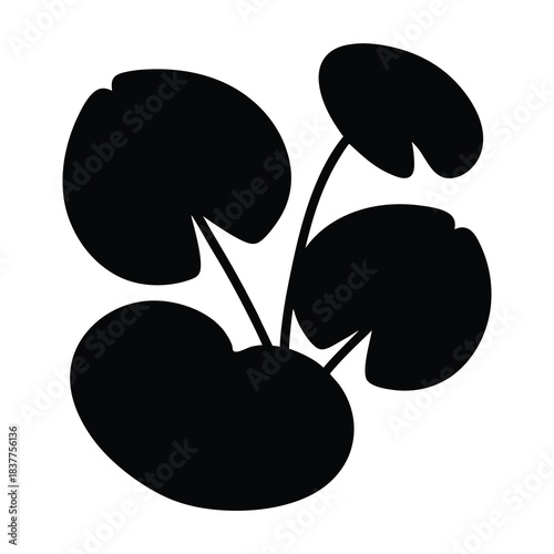 Stylized minimalist illustration of a pennywort plant with rounded leaves