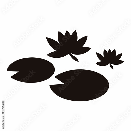 Black and White Water Lilies and Lily Pads Silhouette on White Background
