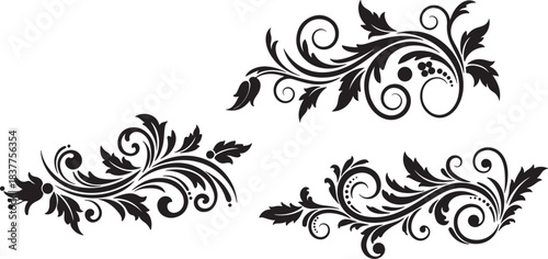 Collection of three black ornate floral decorative swirls and flourishes with leaves and berries, isolated on white background, perfect for design.