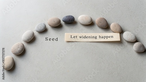 Flat lay of smooth stones arranged in an arc with a wooden sign reading 'Let widening happen' and the word 'Seed' on a plain gray background.