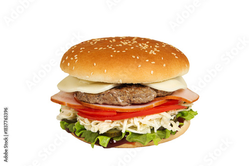 Burger isolated on a white background. Fast and tasty food.	