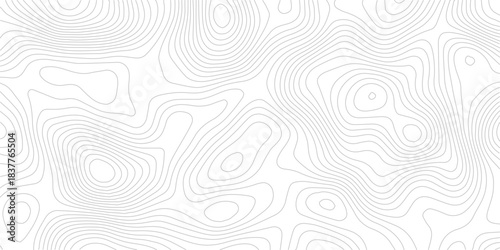 Modern Abstract Contour Grid Map Design