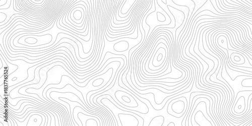 Minimal White Topographic Line Seamless Pattern