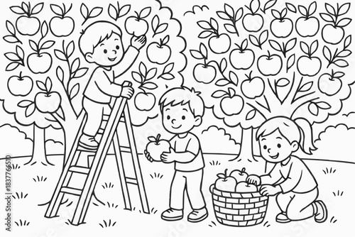 Coloring book for children - Children picking apples in orchard while harvesting fruit together  