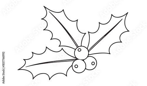 Simple black and white line drawing of holly leaves and berries