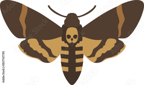 Deaths head hawkmoth moth