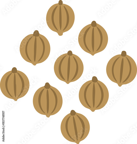 Coriander seeds pile