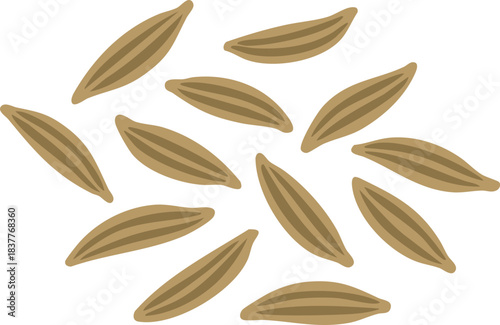 Fennel seeds pattern wide