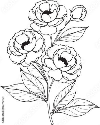 Outline drawing of beautiful peony flower bouquet with leaves for adult coloring page or tattoo design