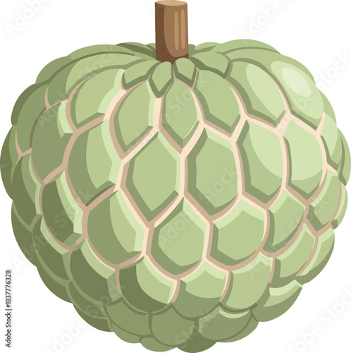 Exotic Custard Apple Fruit Flat Design Vector