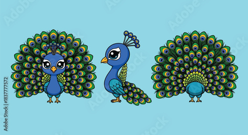 Cute Cartoon Peacock Character Front, Side, and Back View on Blue Background
