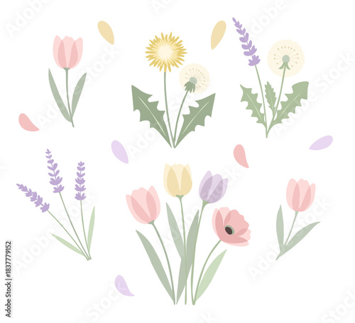 Vectores de Flores Dientes de Leon, Lavandas y Tulipanes
