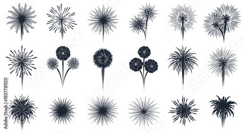 A collection of diverse dandelion seed head illustrations, showcasing their delicate and intricate structures in various arrangements and densities.