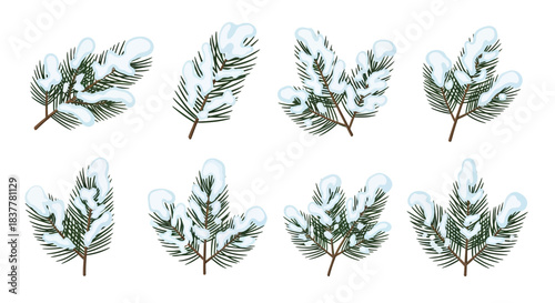 A collection of eight illustrations of snow-covered pine branches, each with a slightly different arrangement and angle.