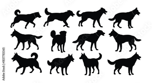 Silhouette collection displaying various breeds of dogs in different poses