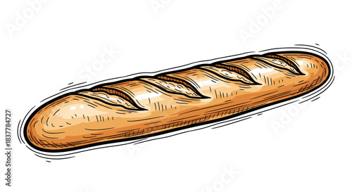 A beautifully hand-drawn illustration of a golden-brown baguette, showcasing its crispy crust and classic slashes, perfect for bakery themes and culinary designs.