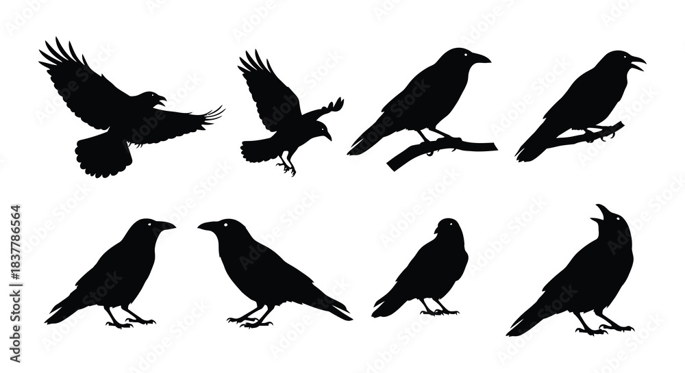 Obraz premium Silhouettes of crows in various poses depicting flight and perching behavior