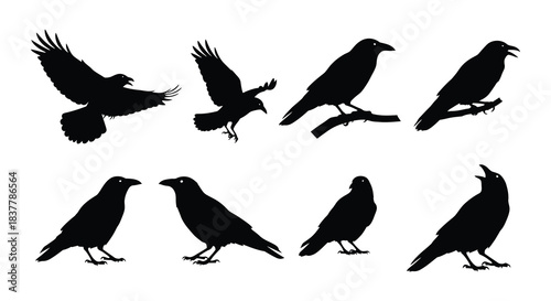Silhouettes of crows in various poses depicting flight and perching behavior