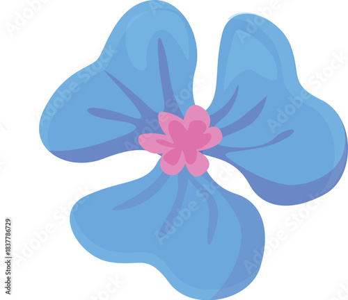 Light blue tropical flower blooming, showing its vibrant pink center