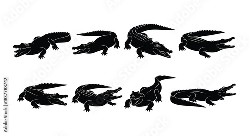 Black silhouette illustrations depicting multiple crocodiles in various poses and angles